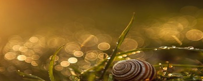 1968年巴菲特致股东的信