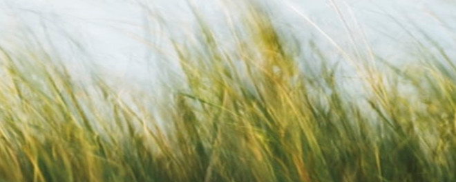 1970年巴菲特致股东的信