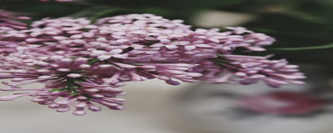 1995年巴菲特致股东的信