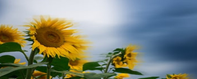 1996年巴菲特致股东的信（上）