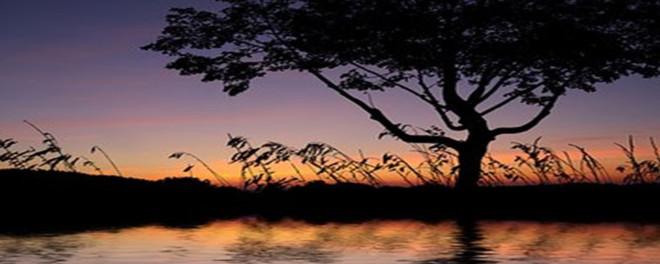 2001年巴菲特致股东的信(下)