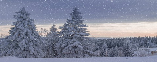 2002年巴菲特致股东的信（上）