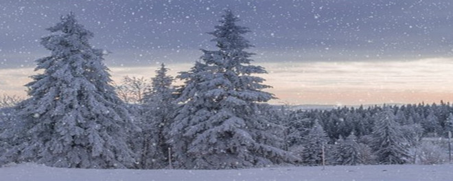 2002年巴菲特致股东的信（下）