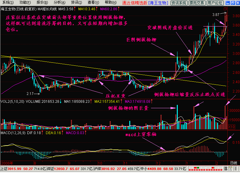 31.长阴倒拔杨柳