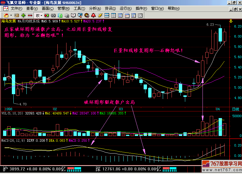 36.石狮怒吼,海鸟飞天