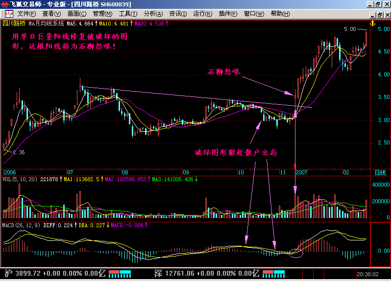 36.石狮怒吼,海鸟飞天