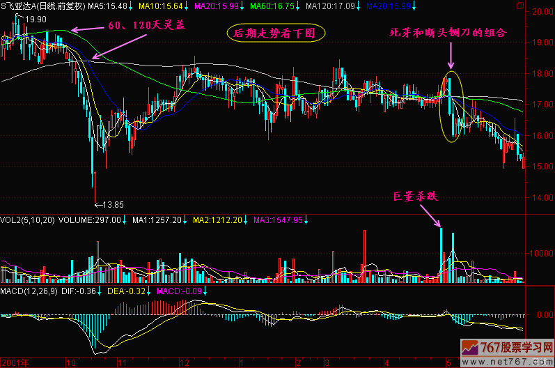 137.死芽之后暴跌
