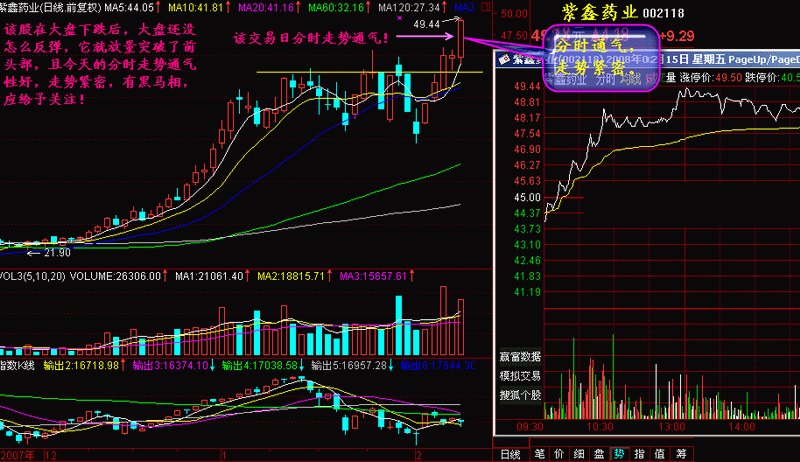 244.分时图找黑马