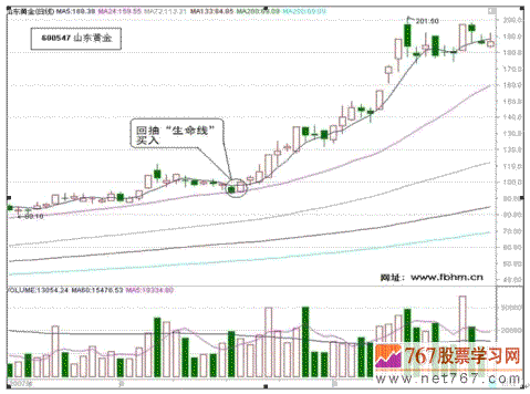 24日生命线是操作关键