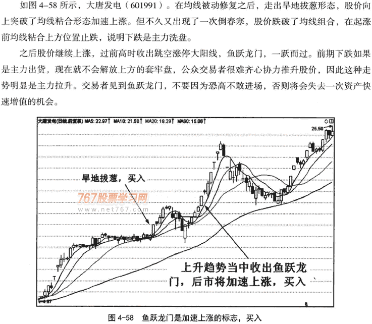 鱼跃龙门和旱地拔葱形态
