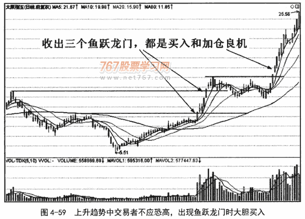 鱼跃龙门和旱地拔葱形态
