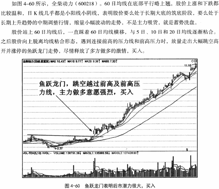 鱼跃龙门和旱地拔葱形态