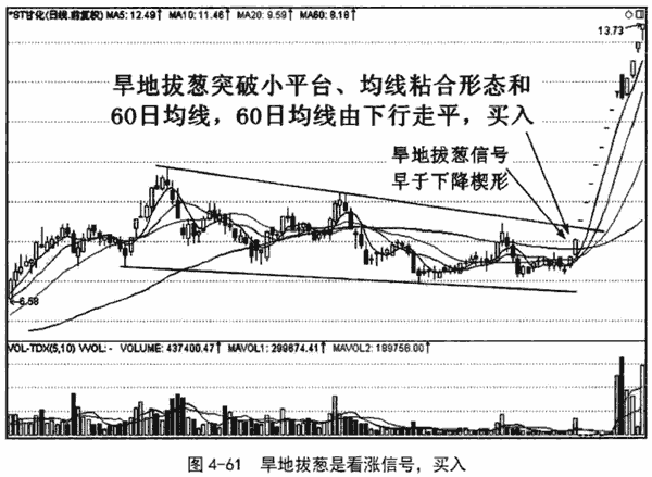 鱼跃龙门和旱地拔葱形态