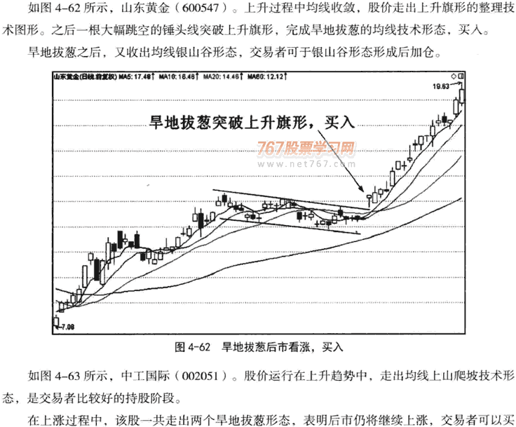 鱼跃龙门和旱地拔葱形态