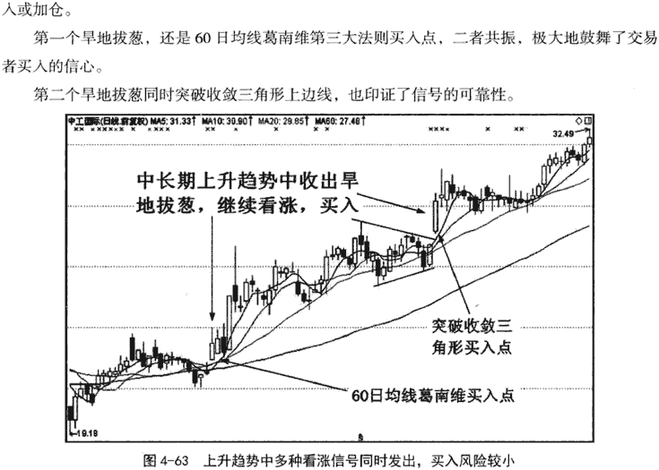 鱼跃龙门和旱地拔葱形态