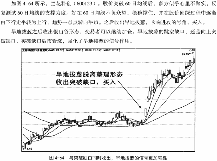 鱼跃龙门和旱地拔葱形态