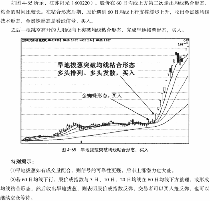 鱼跃龙门和旱地拔葱形态