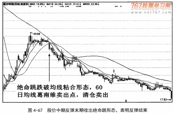 鱼跃龙门和旱地拔葱形态