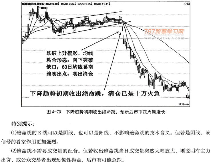 鱼跃龙门和旱地拔葱形态
