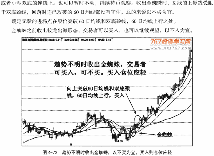 金蜘蛛和毒蜘蛛形态