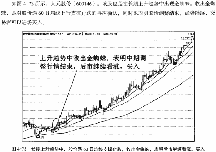 金蜘蛛和毒蜘蛛形态