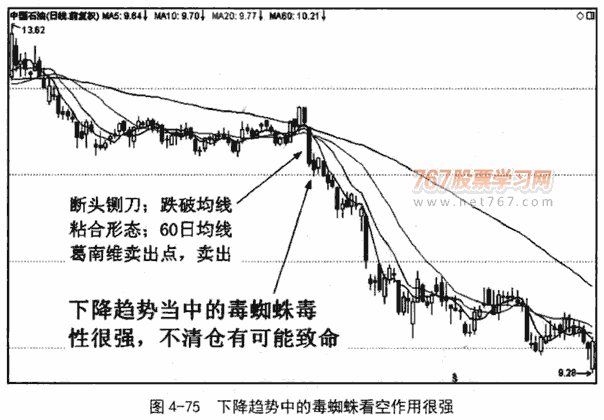 金蜘蛛和毒蜘蛛形态