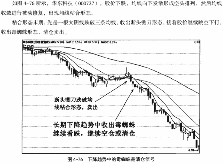 金蜘蛛和毒蜘蛛形态