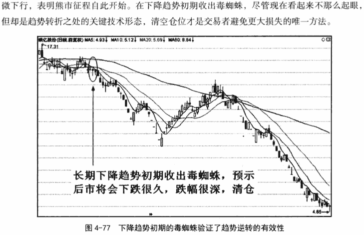 金蜘蛛和毒蜘蛛形态