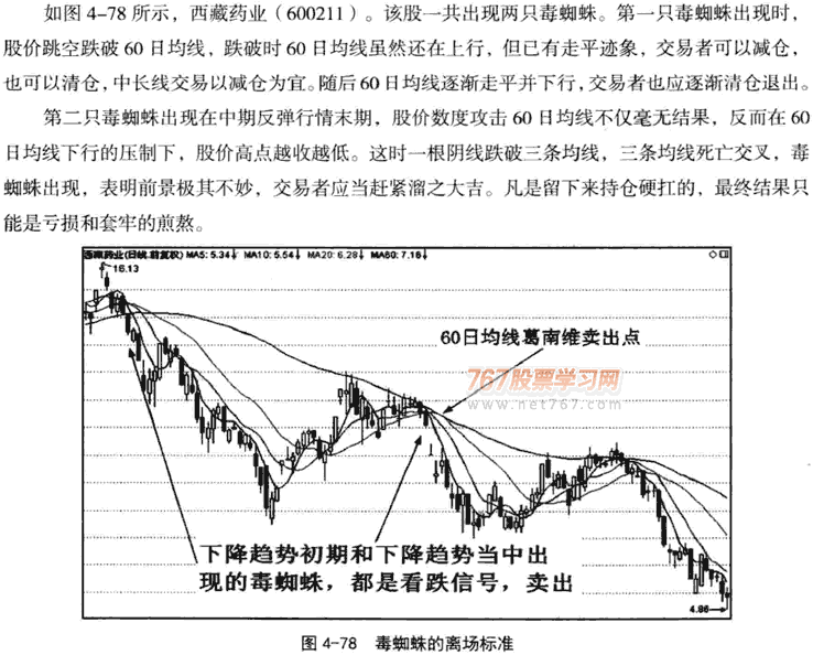 金蜘蛛和毒蜘蛛形态