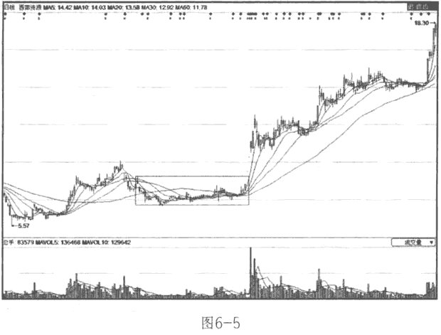 抓住强势横盘的黑马股