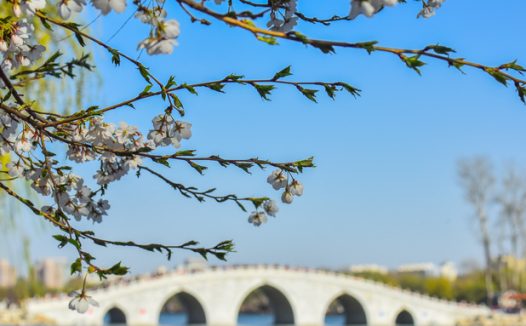 炒股十七段！你处在什么段位？