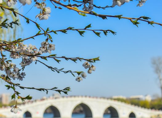 炒股十七段！你处在什么段位？