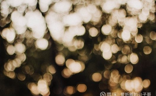 企业定性分析的重要点-护城河