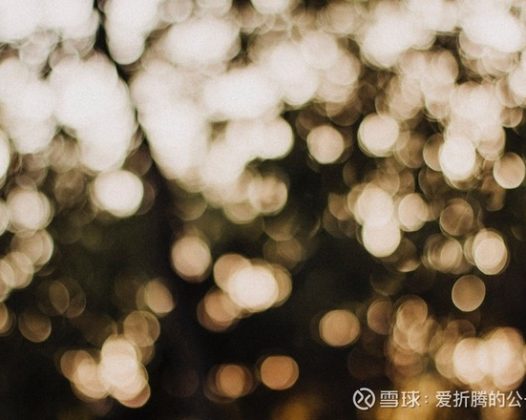 企业定性分析的重要点-护城河