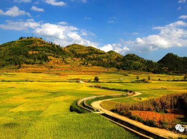 中共中央关于制定国民经济和社会发展第十五个五年规划的建议