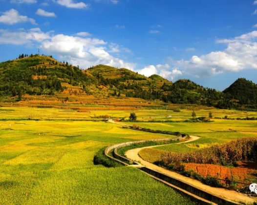 中共中央关于制定国民经济和社会发展第十五个五年规划的建议